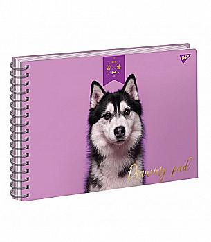 Альбом для малювання А4 20 арк./100 "Elegant dog" на спіралі, 130439 Yes Альбом для малювання А4 20 арк./100 "Elegant dog" на спіралі, 130439 Yes