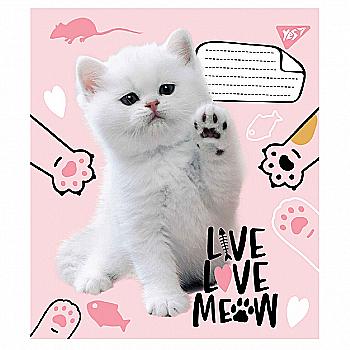Зошит 18 лін. YES Live love meow, 765523