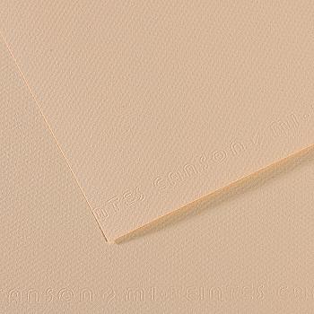 Бумага для пастели MI-TEINTES 50*65 см 160 г/м2 №112, бледно-розовый Canson Бумага для пастели MI-TEINTES 50*65 см 160 г/м2 №112, бледно-розовый Canson