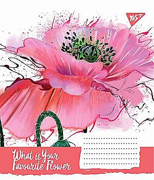 Зошит 18 кл. YES (4536) Зошит 18 кл. YES (4536)