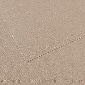 Бумага для пастели MI-TEINTES 50*65 см 160 г/м2 №122, серо-фланелевый Canson Бумага для пастели MI-TEINTES 50*65 см 160 г/м2 №122, серо-фланелевый Canson