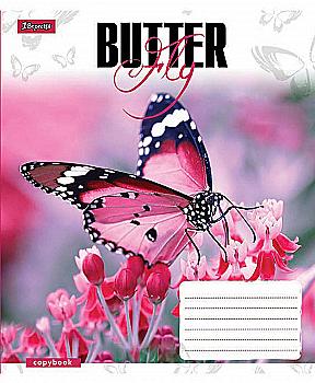 Зошит 48 кл. 1В Butterflys -17, 760392 (6014) Зошит 48 кл. 1В Butterflys -17, 760392 (6014)
