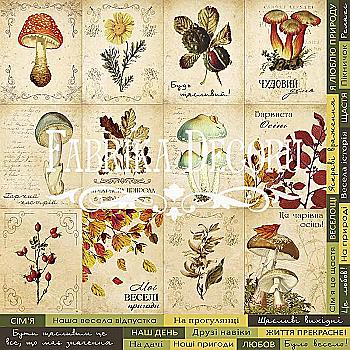 Картки "Botany autumn" (укр.) Картки "Botany autumn" (укр.)