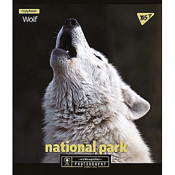 Зошит 48 лін. YES "Wild portrait", 765300 Зошит 48 лін. YES "Wild portrait", 765300