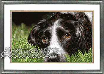 Схема для вышивания бисером СБ-154 30*19 см на авторской канве ТМ "Чарівна мить"