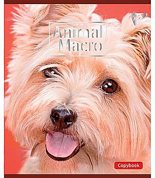 Зошит 18 лін. YES "Animal Macro", 764287