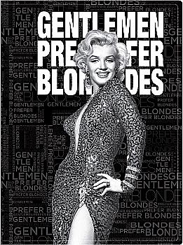 Папка-швидкозшивач А4, Monroe 1374-01-A Axent