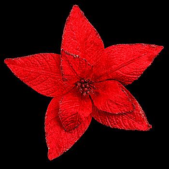 Пуансеттія 20 см з кліпом, червона 750253