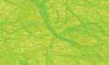 Натуральная бумага с тутов. волокнами 25г 20*30 см светло-зеленый UR 4812251R