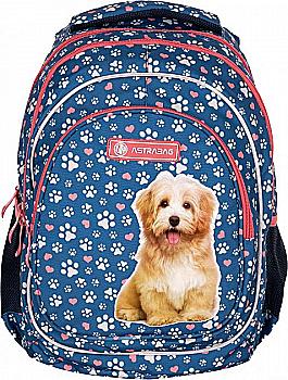 Рюкзак шкільний Astrabag AB330 "Cute puppy", 502022140 Рюкзак шкільний Astrabag AB330 "Cute puppy", 502022140