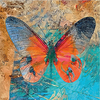 Полотно на картоні з контуром "Butterfly 1" 30*30, бавовна, акрил, Rosa Start Полотно на картоні з контуром "Butterfly 1" 30*30, бавовна, акрил, Rosa Start
