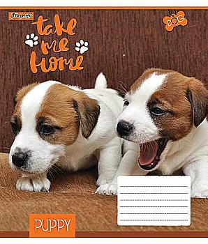 Зошит 36 лін. 1В Take me home -18, 762598 (0058) Зошит 36 лін. 1В Take me home -18, 762598 (0058)
