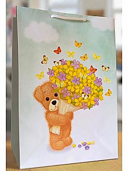 Пакет 150*210*80, AB004 Пакет 150*210*80, AB004