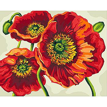 Набір для розпису по номерах 40*50 см "Яскраві маки", КН3056