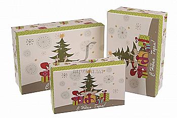 Подарункова коробка прямокутна середня, W986001