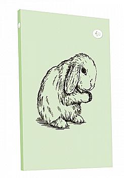 Блокнот В6 "Animal note", rabbit, 50674, TM Profiplan  Блокнот В6 "Animal note", rabbit, 50674, TM Profiplan