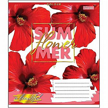 Зошит 18 кл. 1В Summer Flower, 764539 Зошит 18 кл. 1В Summer Flower, 764539