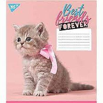 Зошит 36 кл. YES (4611)