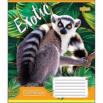 Зошит 24 кл. 1В Exotic animal, 764571 Зошит 24 кл. 1В Exotic animal, 764571