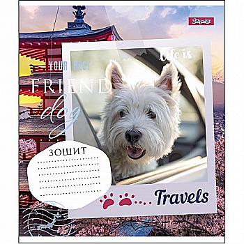 Зошит 48 лін. 1В Your Best Friend, 764636