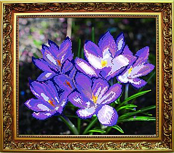 Схема для вишивання бісером СБ-245 30*25 см на авторській канві ТМ "Чарівна мить"