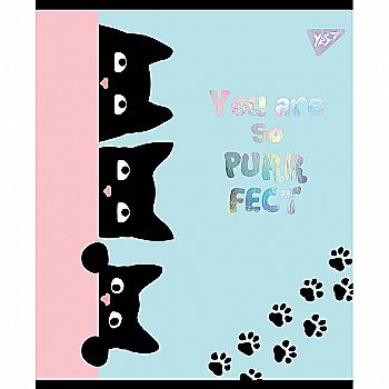 Зошит 12 лін. YES "Playful kitties", 765170