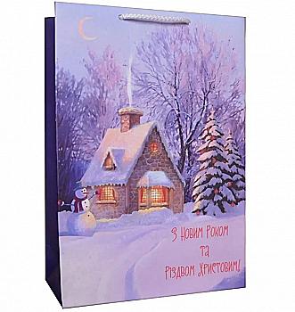 Пакет 233*330*106, AD016 Пакет 233*330*106, AD016