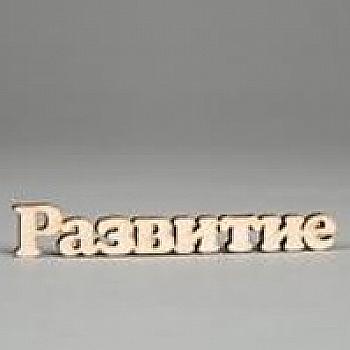 Заготовка деревянная Развитие, С227