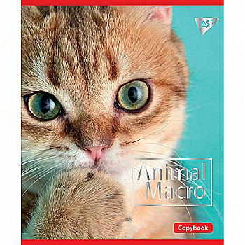 Тетрадь 12 кл. YES "Animal macro", 764210