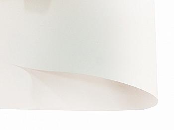 Картон білий двосторонній А5 250 г. 8 арк.  Картон білий двосторонній А5 250 г. 8 арк.