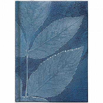 Ежедневник 2022 карманный, Графо Leaves, 73-736 68 162 Ежедневник 2022 карманный, Графо Leaves, 73-736 68 162