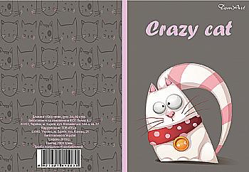 Блокнот B6 80 л "Crazy Cats" в ассорт., цветная клетка с рисунком, DomArt Блокнот B6 80 л "Crazy Cats" в ассорт., цветная клетка с рисунком, DomArt