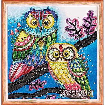 Набір для вишивки бісером "Нічна парочка", AM-150 Набір для вишивки бісером "Нічна парочка", AM-150