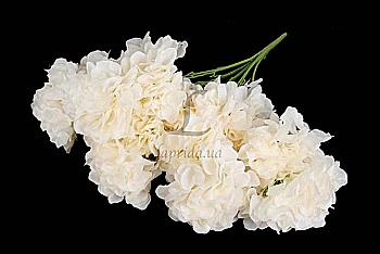 Гортензия декоративная, 5-56958
