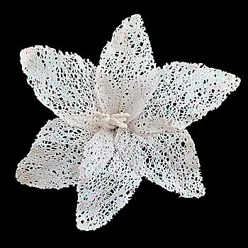 Пуансеттія 23 см з кліпом, біла 750255