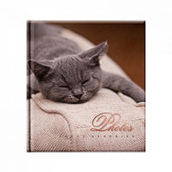 Фотоальбом Ufo 10*15*200 PP-46200 Pussycat2 Фотоальбом Ufo 10*15*200 PP-46200 Pussycat2