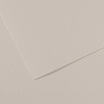 Бумага для пастели MI-TEINTES 50*65 см 160 г/м2 №120, жемчужно-серый Canson Бумага для пастели MI-TEINTES 50*65 см 160 г/м2 №120, жемчужно-серый Canson