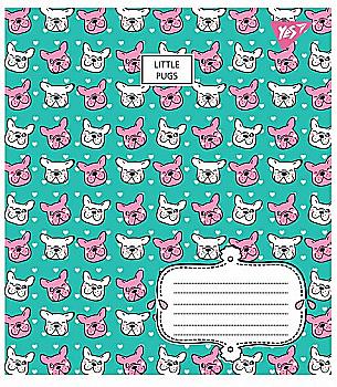 Зошит 12 кл. YES "Pattern", 764826