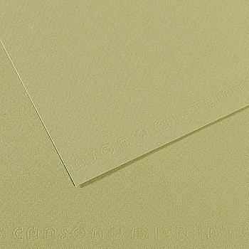 Папір для пастелі MI-TEINTES 50*65 см 160 г/м2 №480, світло-зелений Canson Папір для пастелі MI-TEINTES 50*65 см 160 г/м2 №480, світло-зелений Canson