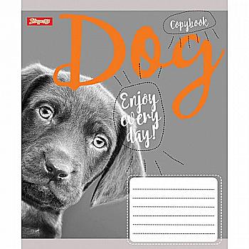 Тетрадь 24 лин. 1В Cat, 764087 Тетрадь 24 лин. 1В Cat, 764087