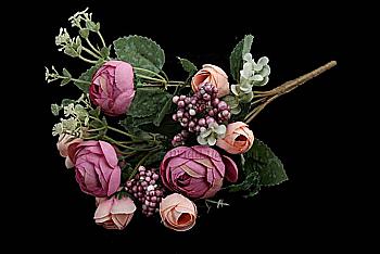 Троянди декоративні, 5-53308