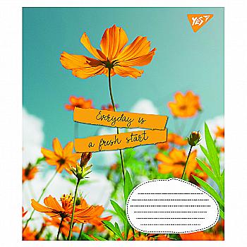 Зошит 36 кл. 1В Summer flowers, 765950 Зошит 36 кл. 1В Summer flowers, 765950