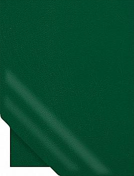 Дневник датированый 2018, А5, "Light", зеленый, 352-ББ-Л-Ю27032