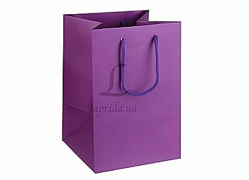 Подарунковий пакет 17,5*25,5*17 см, 31-4521