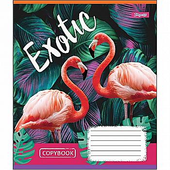 Зошит 18 лін. 1В Exotic Animal, 764551 Зошит 18 лін. 1В Exotic Animal, 764551