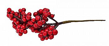 Ягоди смородина червона, 40 шт. на гілочці, 972781