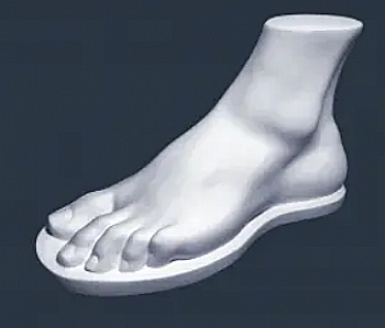 Заготовка из гипса Анатомическая фигура Стопа Геракла, 364/АР-332