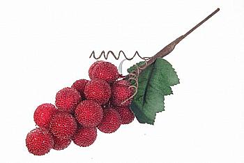 Ягоды декоративные, 51-43443