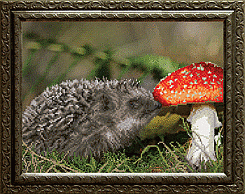 Схема для вышивания бисером СБ-162 30*23 см на авторской канве ТМ "Чарівна мить"