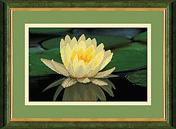 Схема для вишивання бісером СБ-133 31*20 см на авторській канві ТМ "Чарівна мить"